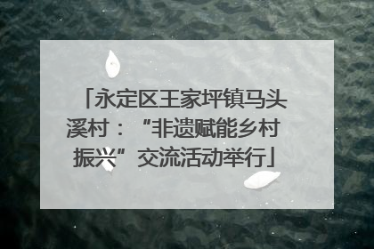 永定区王家坪镇马头溪村：“非遗赋能乡村振兴”交流活动举行