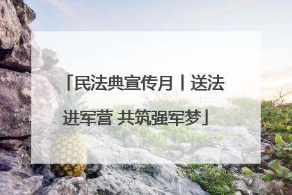 民法典宣传月丨送法进军营 共筑强军梦