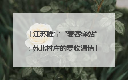 江苏睢宁“麦客驿站”:苏北村庄的麦收温情
