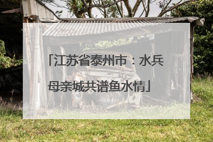 江苏省泰州市：水兵母亲城共谱鱼水情