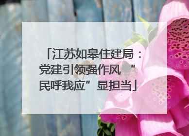 江苏如皋住建局：党建引领强作风 “民呼我应”显担当