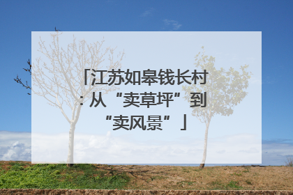 江苏如皋钱长村：从“卖草坪”到“卖风景”