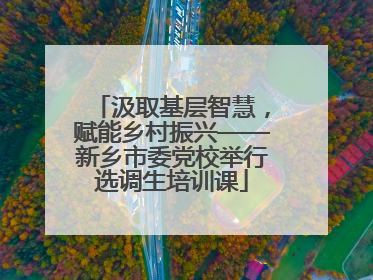 汲取基层智慧,赋能乡村振兴——新乡市委党校举行选调生培训课