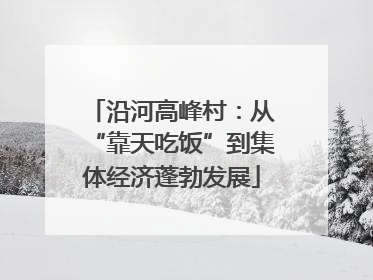 沿河高峰村：从“靠天吃饭”到集体经济蓬勃发展