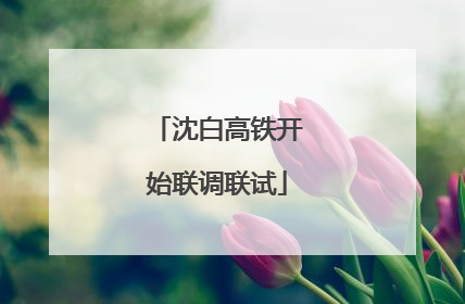 沈白高铁开始联调联试