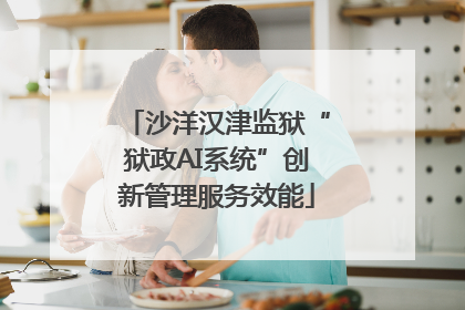 沙洋汉津监狱“狱政AI系统”创新管理服务效能