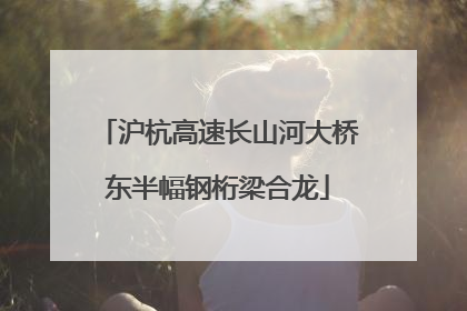 沪杭高速长山河大桥东半幅钢桁梁合龙