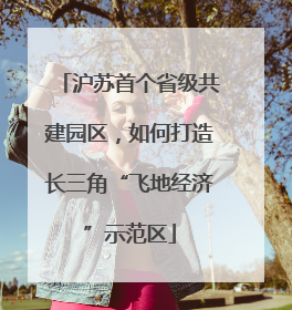 沪苏首个省级共建园区，如何打造长三角“飞地经济”示范区