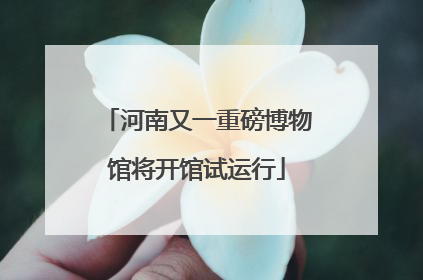 河南又一重磅博物馆将开馆试运行