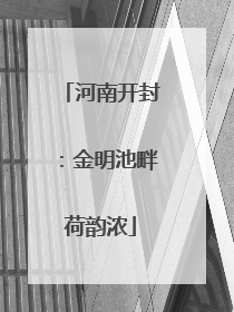 河南开封：金明池畔荷韵浓