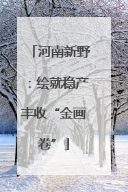 河南新野：绘就稳产丰收“金画卷”