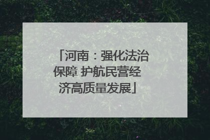 河南：强化法治保障 护航民营经济高质量发展