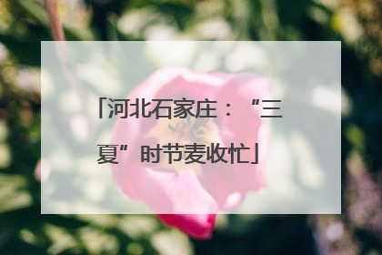河北石家庄：“三夏”时节麦收忙