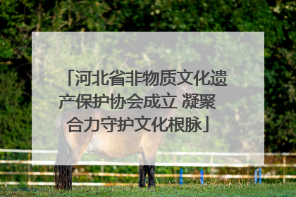 河北省非物质文化遗产保护协会成立 凝聚合力守护文化根脉