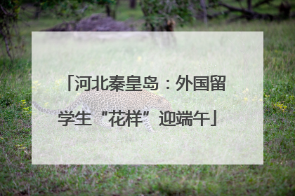 河北秦皇岛：外国留学生“花样”迎端午