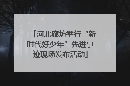 河北廊坊举行“新时代好少年”先进事迹现场发布活动