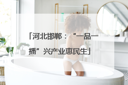 河北邯郸：“一品一播”兴产业惠民生