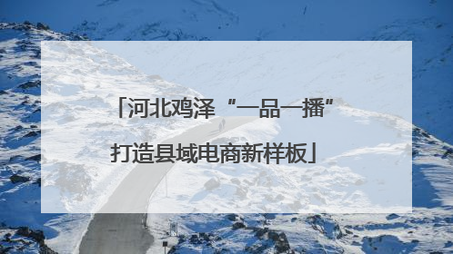 河北鸡泽“一品一播”打造县域电商新样板