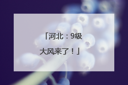 河北：9级大风来了！
