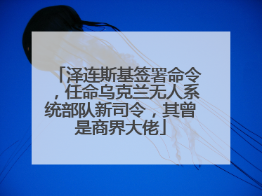 泽连斯基签署命令，任命乌克兰无人系统部队新司令，其曾是商界大佬