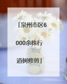 泉州市区6000余株行道树修剪