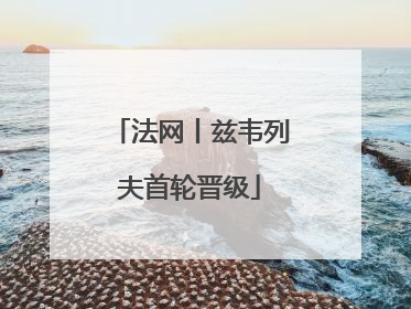 法网丨兹韦列夫首轮晋级