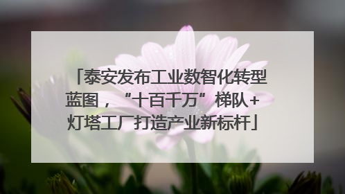 泰安发布工业数智化转型蓝图，“十百千万”梯队+灯塔工厂打造产业新标杆