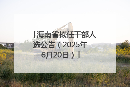 海南省拟任干部人选公告（2025年6月20日）