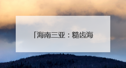 海南三亚：糙齿海豚被成功放归大海