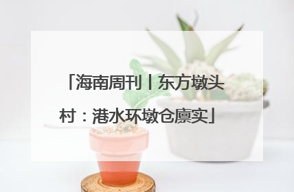 海南周刊丨东方墩头村：港水环墩仓廪实