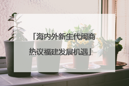 海内外新生代闽商热议福建发展机遇