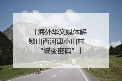 海外华文媒体解锁山西河津小山村“蝶变密码”