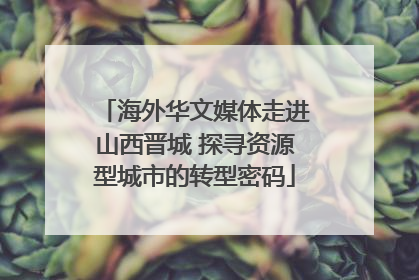 海外华文媒体走进山西晋城 探寻资源型城市的转型密码