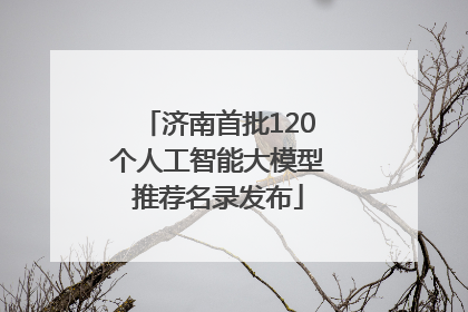 济南首批120个人工智能大模型推荐名录发布