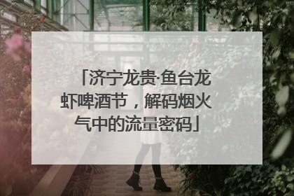济宁龙贵·鱼台龙虾啤酒节，解码烟火气中的流量密码