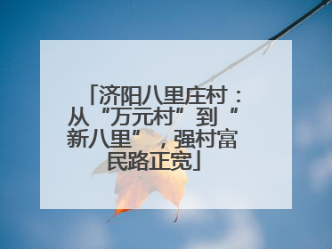济阳八里庄村：从“万元村”到“新八里”，强村富民路正宽