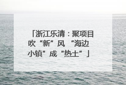 浙江乐清：聚项目吹“新”风 “海边小镇”成“热土”
