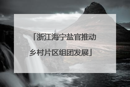浙江海宁盐官推动乡村片区组团发展
