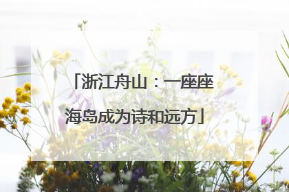 浙江舟山：一座座海岛成为诗和远方