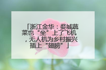浙江金华：婺城蔬菜也“坐”上了飞机，无人机为乡村振兴插上“翅膀”
