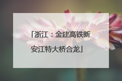 浙江：金建高铁新安江特大桥合龙