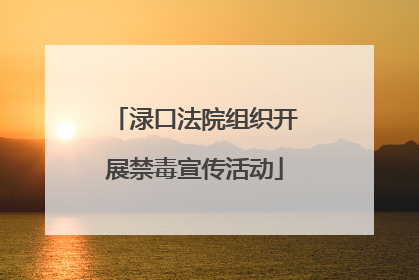 渌口法院组织开展禁毒宣传活动
