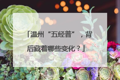 温州“五经普”，背后藏着哪些变化？