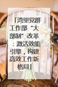 湾里党群工作部“大部制”改革：激活效能引擎，构建高效工作新格局