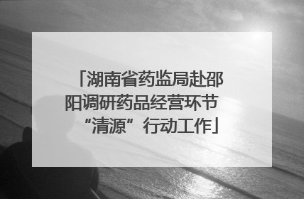 湖南省药监局赴邵阳调研药品经营环节“清源”行动工作