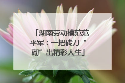 湖南劳动模范范平军：一把砖刀“砌”出精彩人生