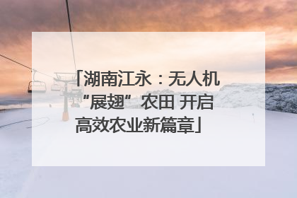 湖南江永：无人机“展翅”农田 开启高效农业新篇章