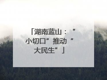 湖南蓝山：“小切口”推动“大民生”