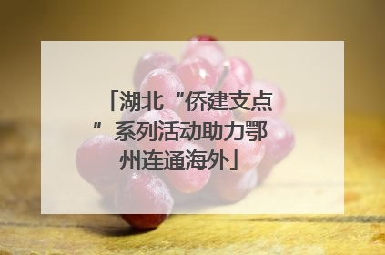 湖北“侨建支点”系列活动助力鄂州连通海外