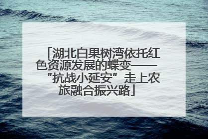 湖北白果树湾依托红色资源发展的蝶变——“抗战小延安”走上农旅融合振兴路